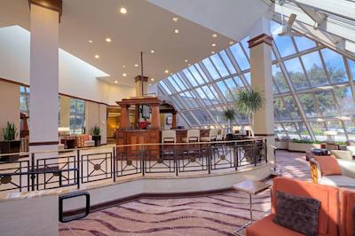 هیلتون هوستون وسچاس