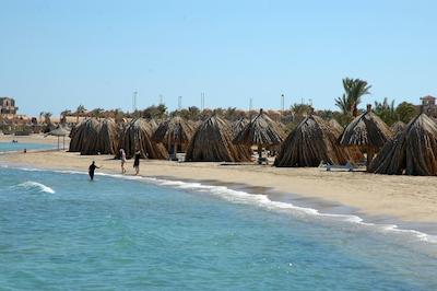 وتپیا بیچ کلوب