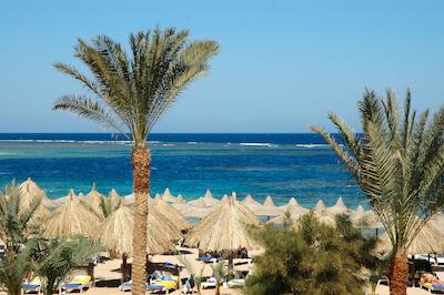 وتپیا بیچ کلوب