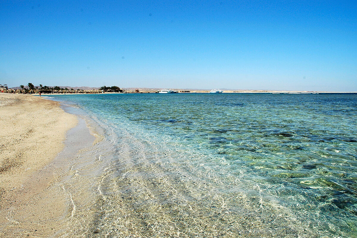 وتپیا بیچ کلوب