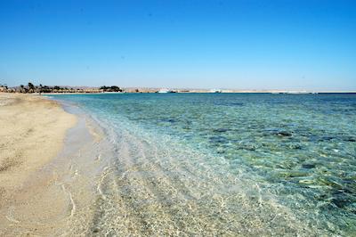 وتپیا بیچ کلوب