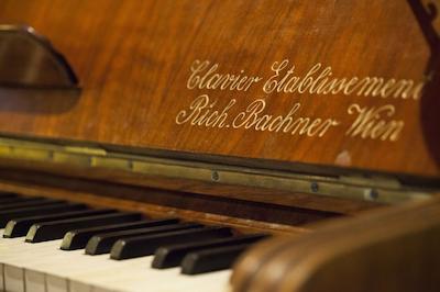 هستل رودنستینر