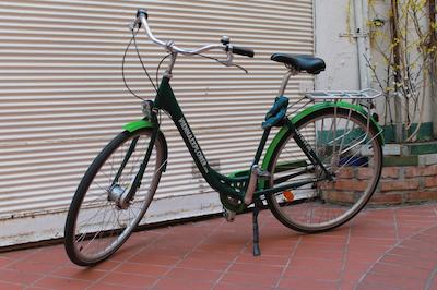 هستل رودنستینر