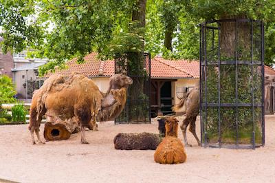 هامپتون بای هیلتون امستردام سنتر ایست