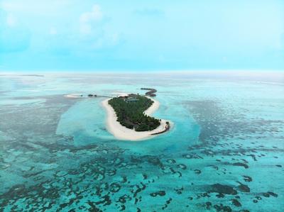 کوکون مالدیو