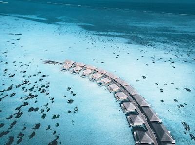 کوکون مالدیو