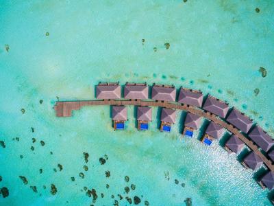 کوکون مالدیو