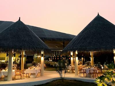 کوکون مالدیو