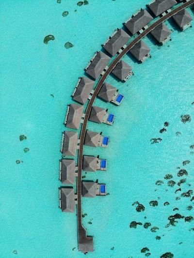 کوکون مالدیو