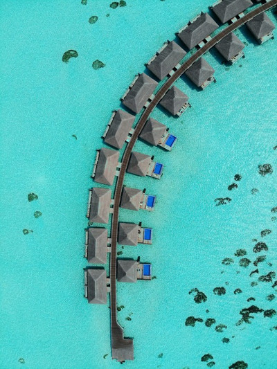 کوکون مالدیو