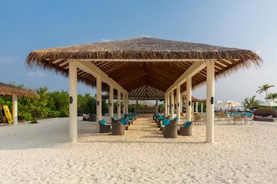 کوکون مالدیو