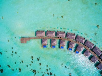 کوکون مالدیو