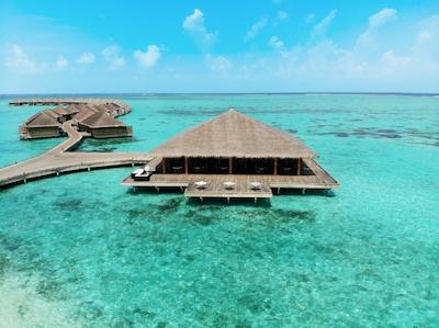 کوکون مالدیو