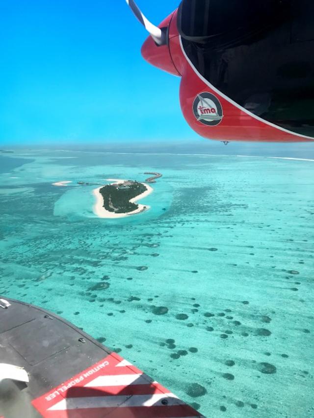 کوکون مالدیو