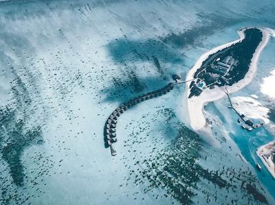 کوکون مالدیو