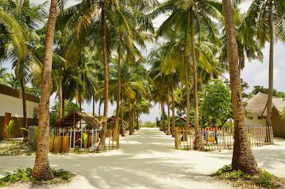 کوکون مالدیو