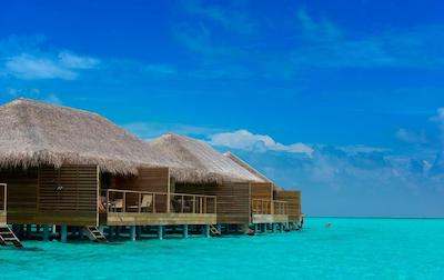 کوکون مالدیو