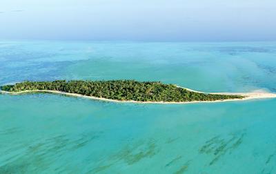 کوکون مالدیو