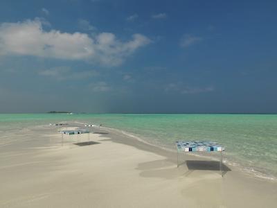 کوکون مالدیو