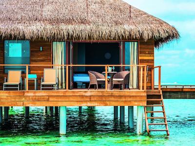 کوکون مالدیو