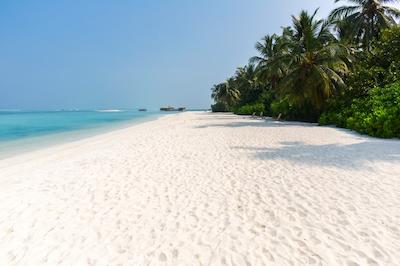 کوکون مالدیو