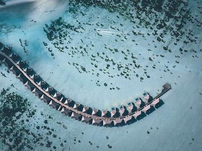 کوکون مالدیو