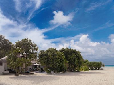 کوکون مالدیو