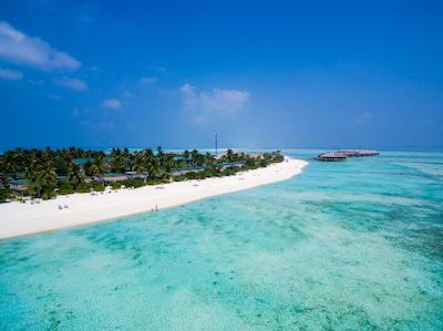 کوکون مالدیو