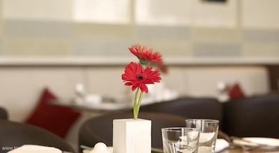 پارک پلازا سوخومویت