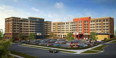 کورتیارد کالگاری اسود