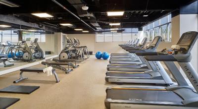 کورتیارد ریو د جانیرو بارا دا تیجوکا