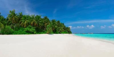 آوی نیچرز پارادایس