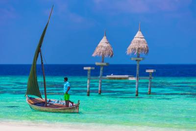 آوی نیچرز پارادایس