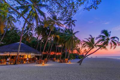 آوی نیچرز پارادایس