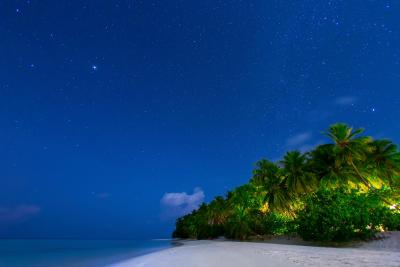 آوی نیچرز پارادایس