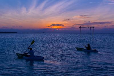 آوی نیچرز پارادایس