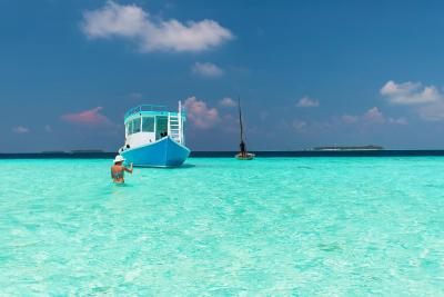 آوی نیچرز پارادایس