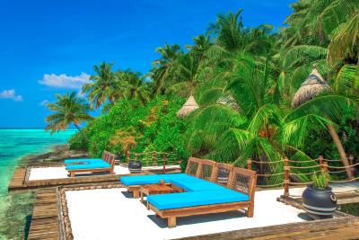 آوی نیچرز پارادایس