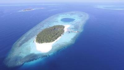 آوی نیچرز پارادایس