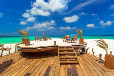 آوی نیچرز پارادایس