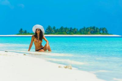 آوی نیچرز پارادایس