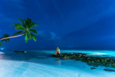 آوی نیچرز پارادایس