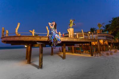 آوی نیچرز پارادایس