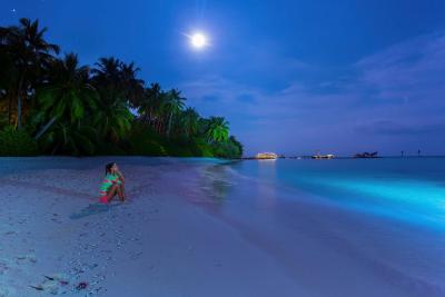 آوی نیچرز پارادایس