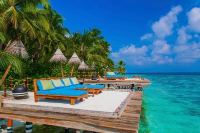 آوی نیچرز پارادایس