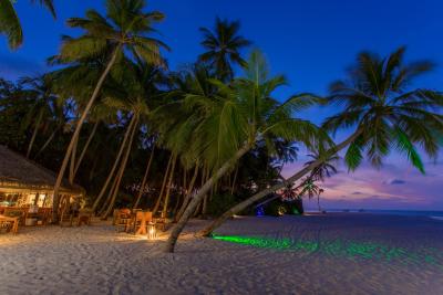 آوی نیچرز پارادایس