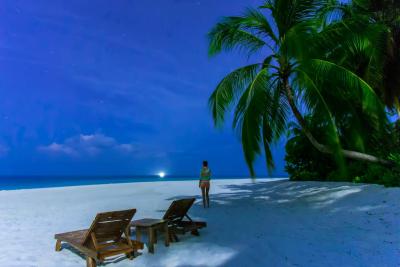 آوی نیچرز پارادایس