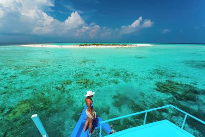 آوی نیچرز پارادایس