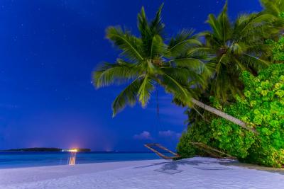 آوی نیچرز پارادایس