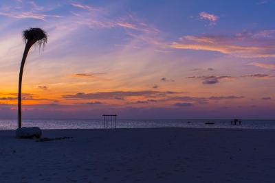 آوی نیچرز پارادایس